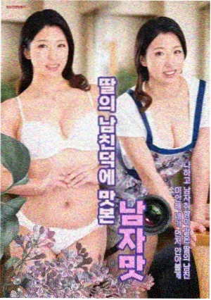 桃花飞绿水武侠剧